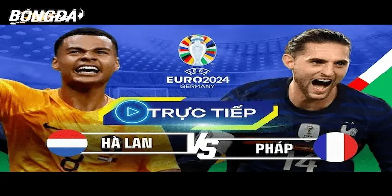 Tại sao newbie nên theo dõi trực tiếp bóng đá Euro?