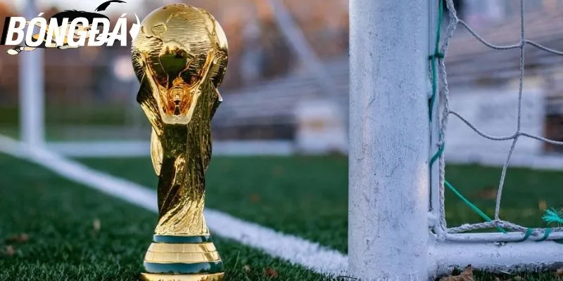 Thể thức thi đấu giải đấu World Cup