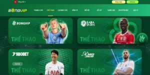 Thể Thao Bongvip: Lựa Chọn Giải Trí Khiến Dân Chơi Phấn Khích  